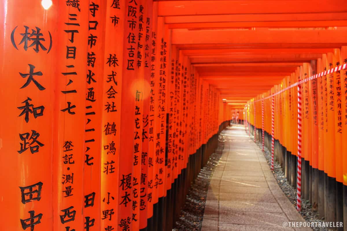 Orange tunnel: the thousand torii gates